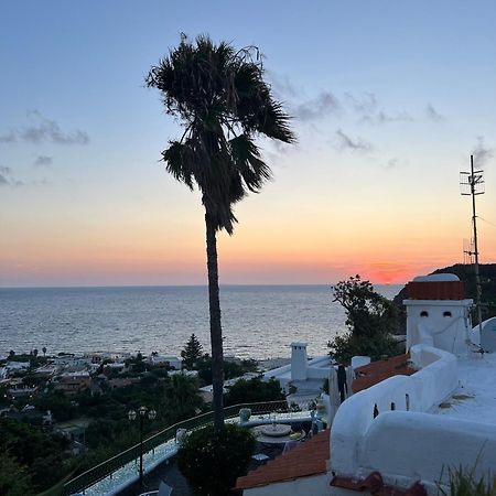 Blu Panorama Bed & Breakfast Forio di Ischia Eksteriør bilde
