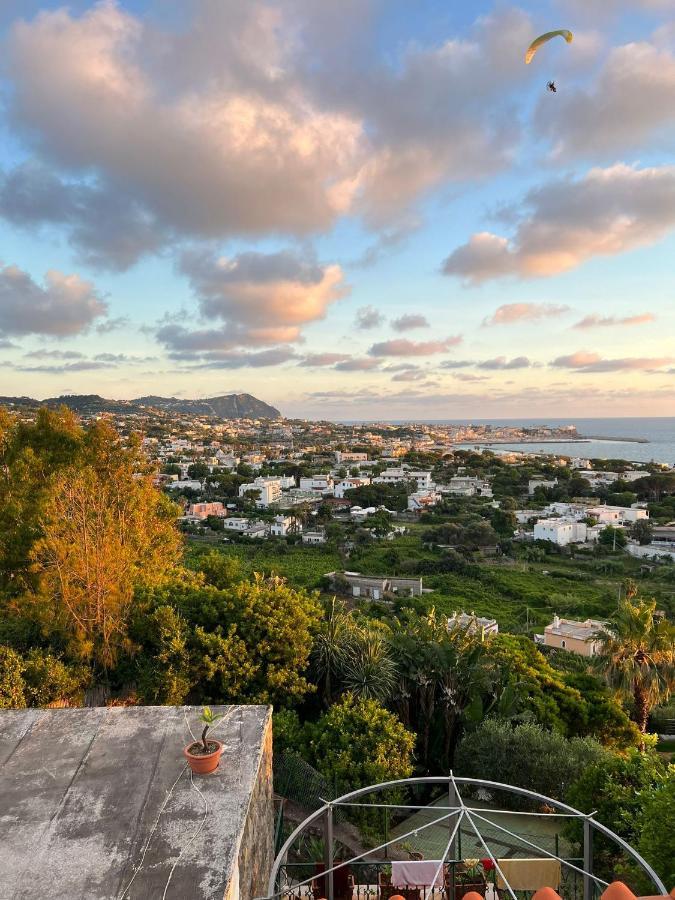 Blu Panorama Bed & Breakfast Forio di Ischia Eksteriør bilde