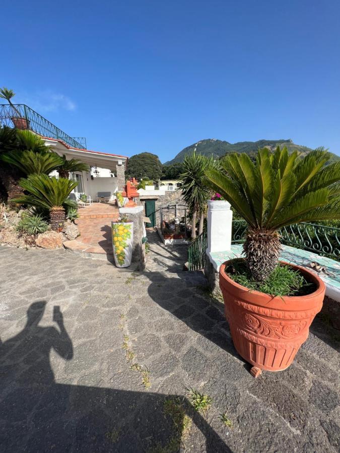 Blu Panorama Bed & Breakfast Forio di Ischia Eksteriør bilde