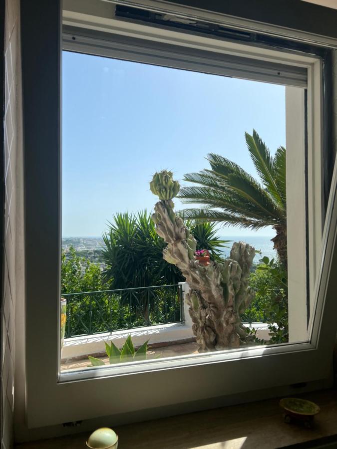 Blu Panorama Bed & Breakfast Forio di Ischia Eksteriør bilde