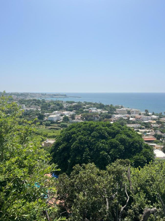 Blu Panorama Bed & Breakfast Forio di Ischia Eksteriør bilde