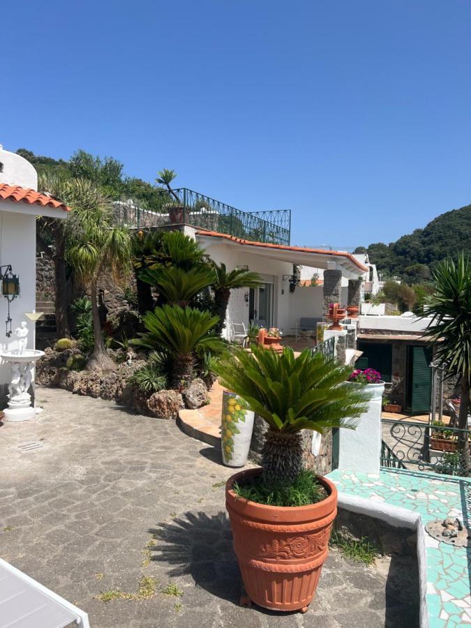 Blu Panorama Bed & Breakfast Forio di Ischia Eksteriør bilde