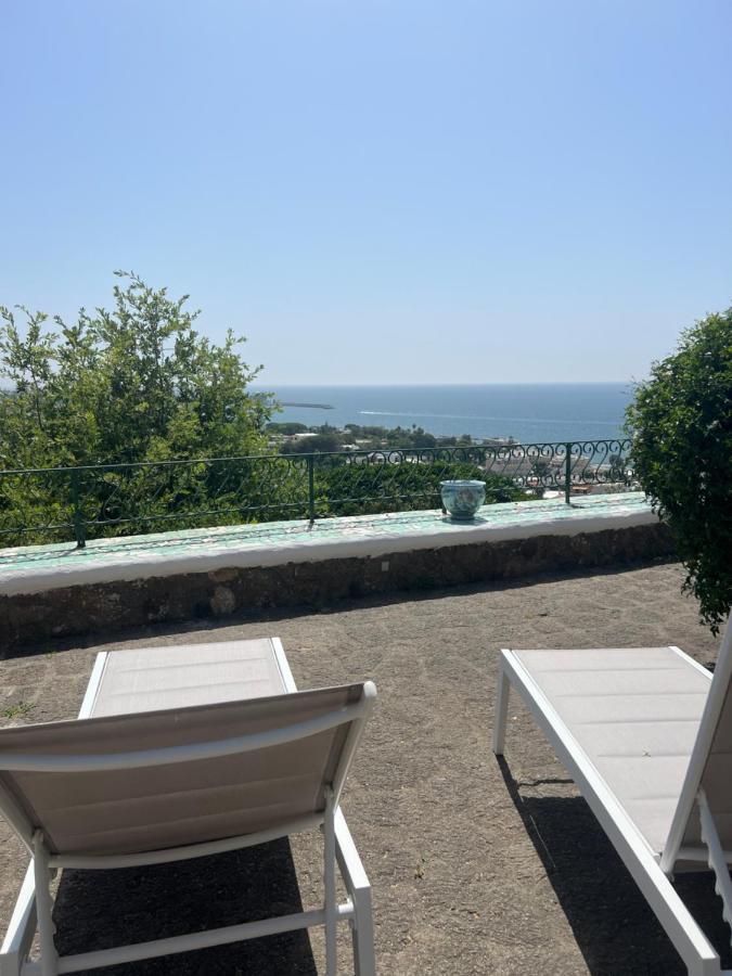 Blu Panorama Bed & Breakfast Forio di Ischia Eksteriør bilde